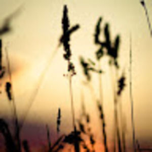 Meet your Posher, Vilena